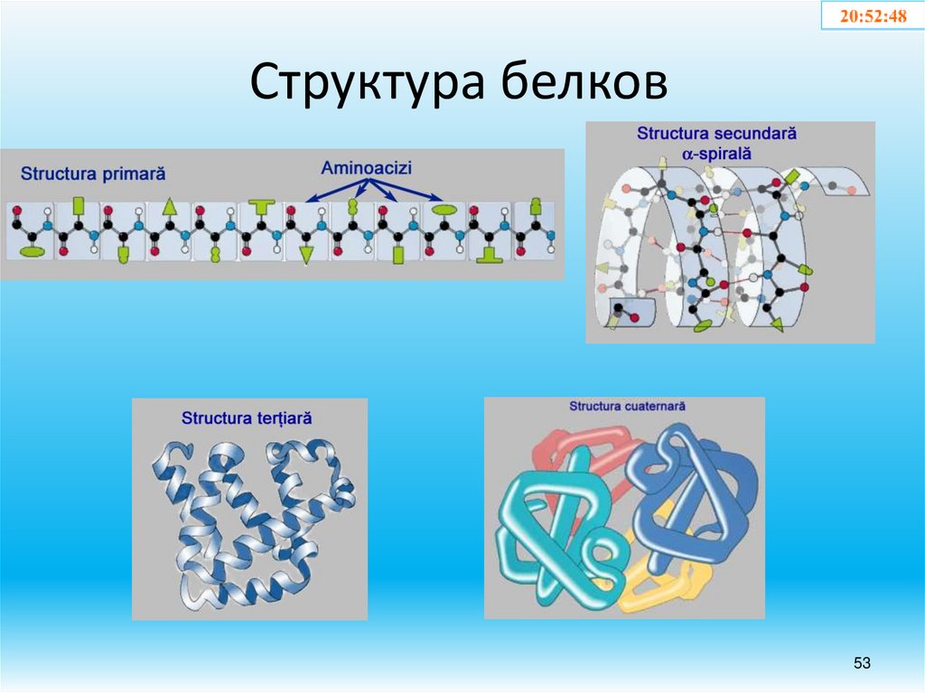 Структура белков