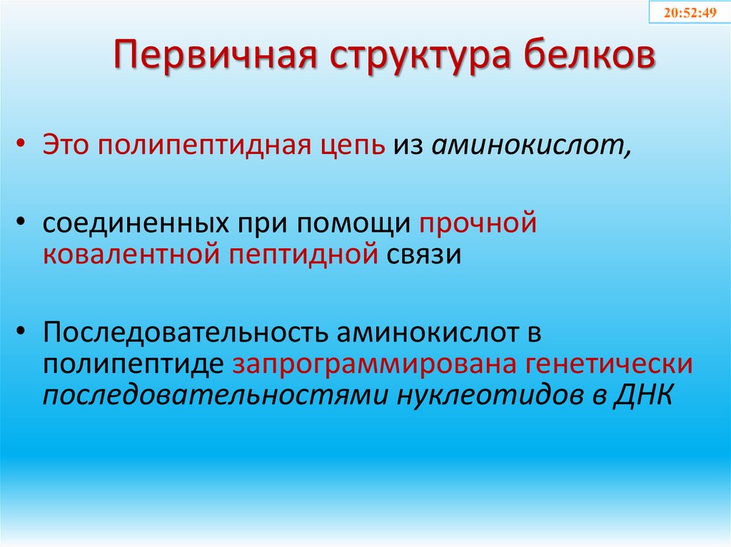 Первичная структура белков