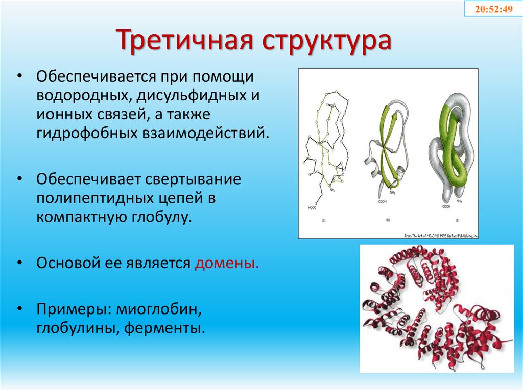 Третичная структура