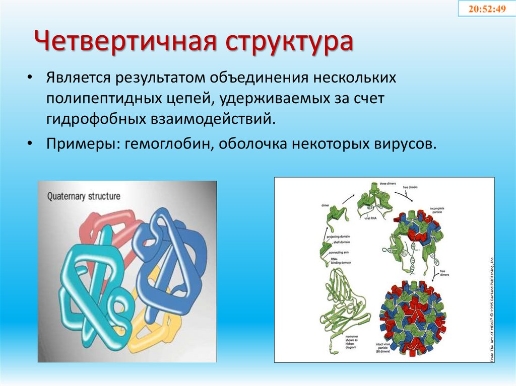 Четвертичная структура