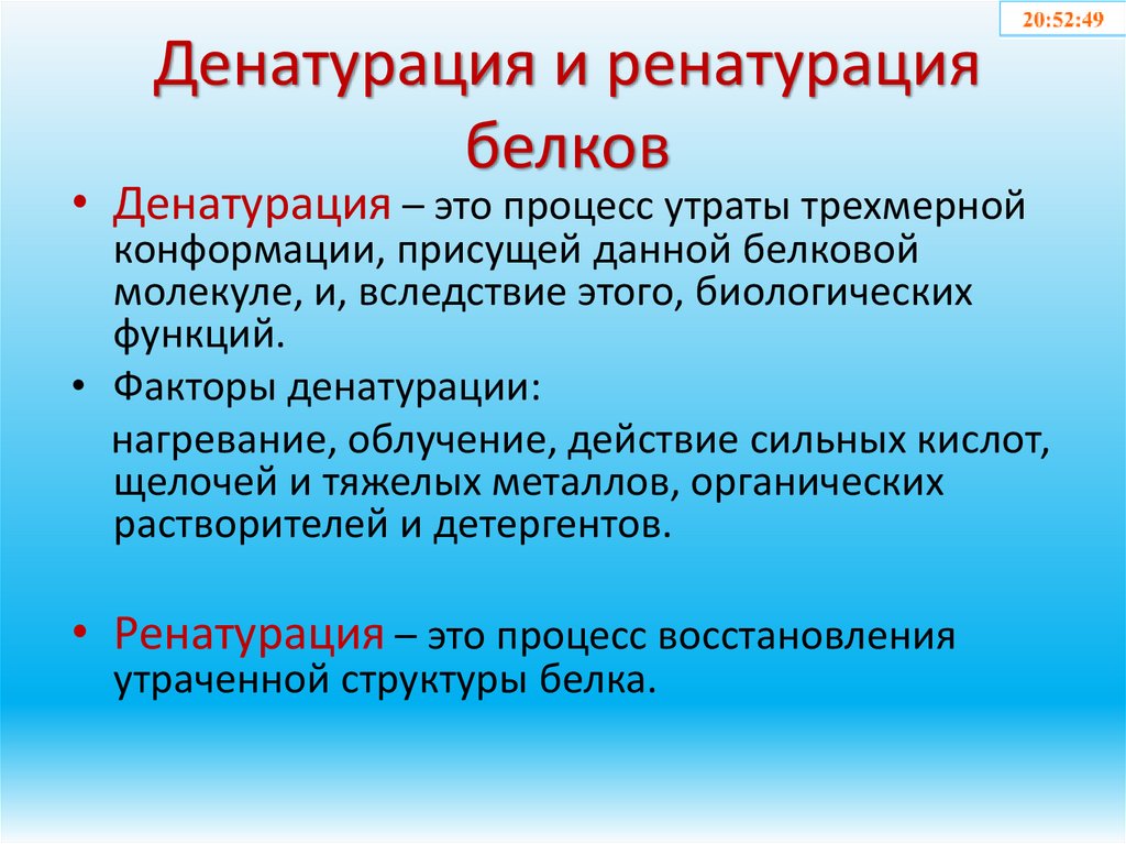 Денатурация и ренатурация белков