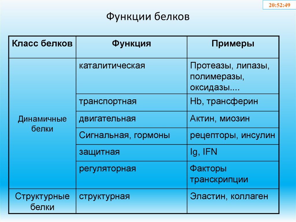 Функции белков