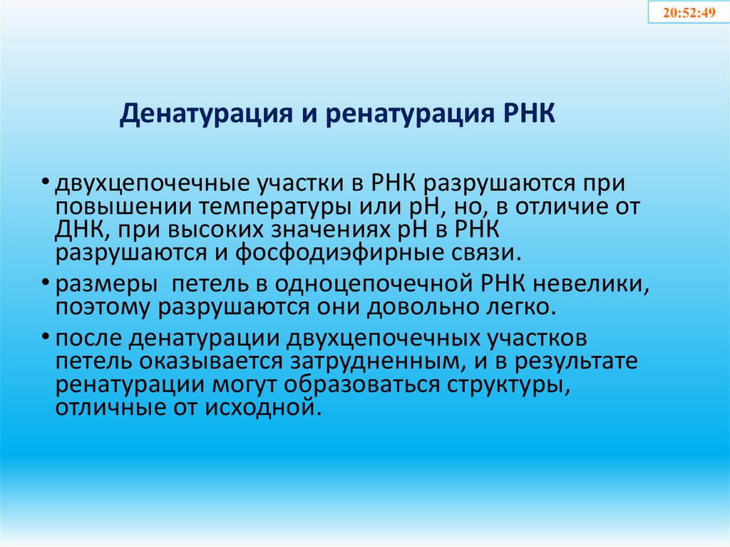 Денатурация и ренатурация РНК