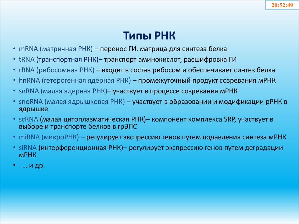 Типы РНК