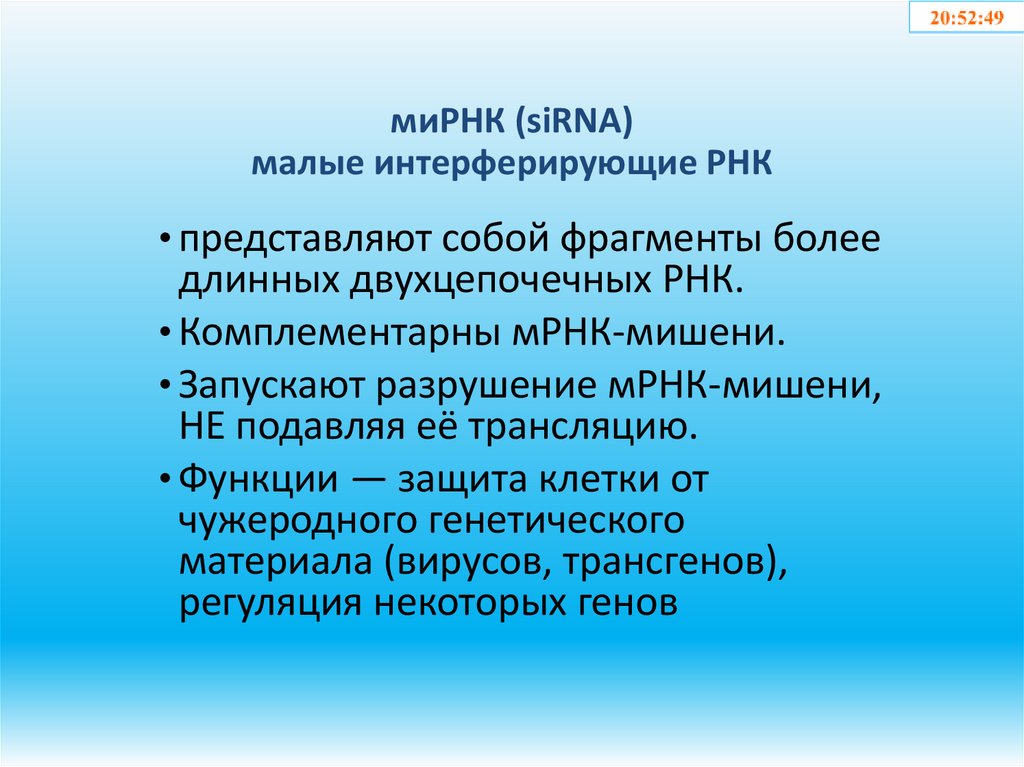 миРНК (siRNA) малые интерферирующие РНК