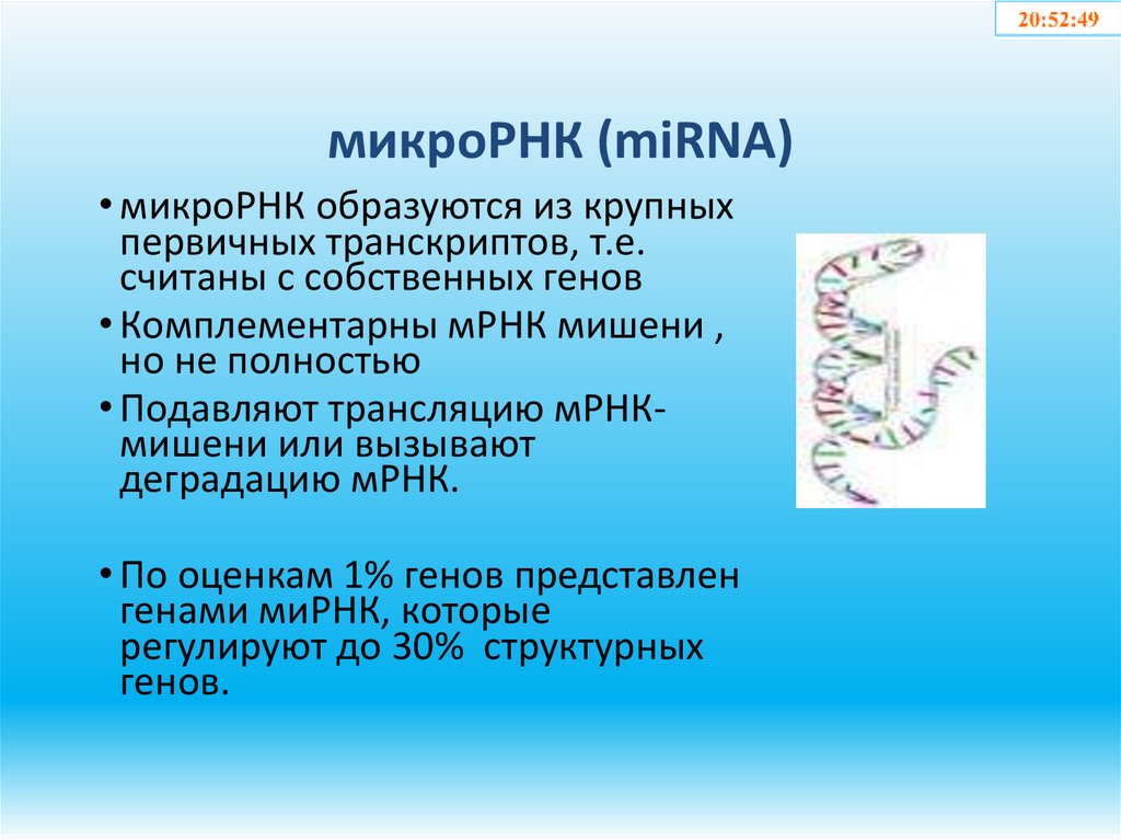 микроРНК (miRNA)