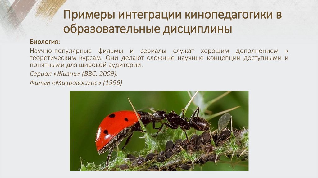 Примеры интеграции кинопедагогики в образовательные дисциплины