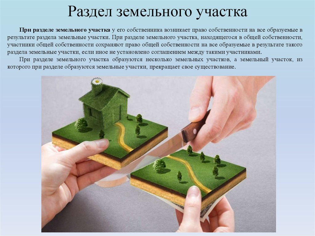 Раздел земельного участка