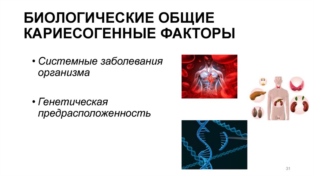 БИОЛОГИЧЕСКИЕ ОБЩИЕ КАРИЕСОГЕННЫЕ ФАКТОРЫ