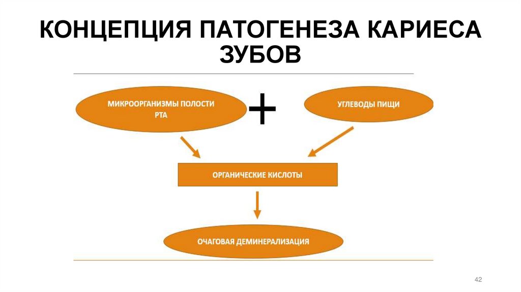 КОНЦЕПЦИЯ ПАТОГЕНЕЗА КАРИЕСА ЗУБОВ