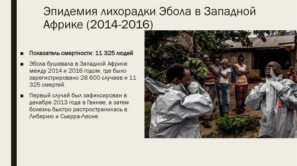 Эпидемия лихорадки Эбола в Западной Африке (2014-2016)