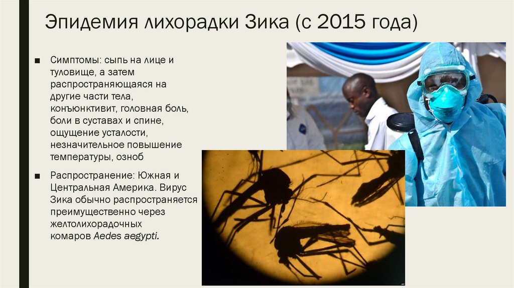 Эпидемия лихорадки Зика (с 2015 года)