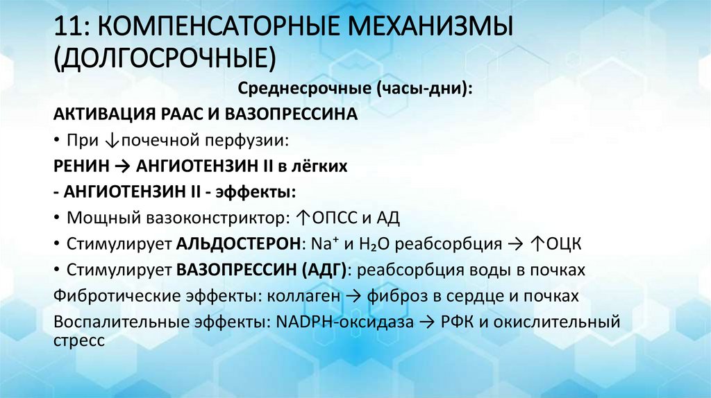 11: КОМПЕНСАТОРНЫЕ МЕХАНИЗМЫ (ДОЛГОСРОЧНЫЕ)