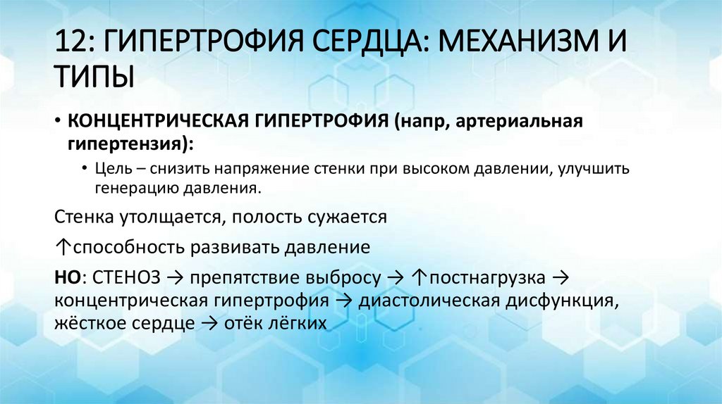 12: ГИПЕРТРОФИЯ СЕРДЦА: МЕХАНИЗМ И ТИПЫ
