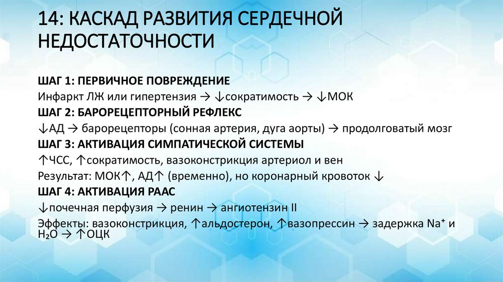 14: КАСКАД РАЗВИТИЯ СЕРДЕЧНОЙ НЕДОСТАТОЧНОСТИ