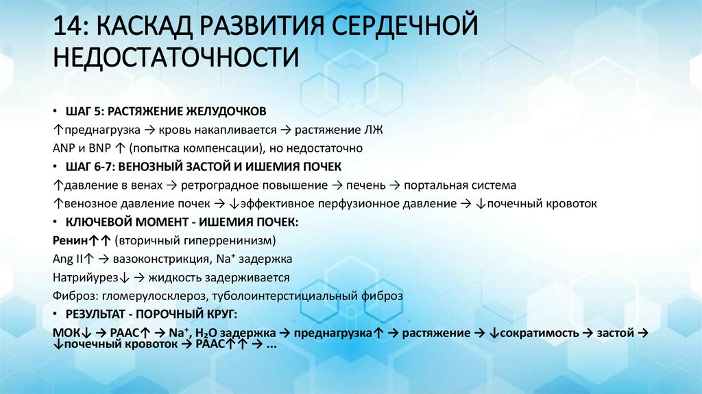 14: КАСКАД РАЗВИТИЯ СЕРДЕЧНОЙ НЕДОСТАТОЧНОСТИ