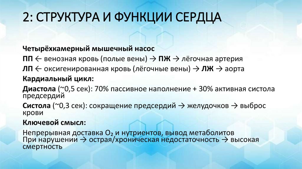 2: СТРУКТУРА И ФУНКЦИИ СЕРДЦА