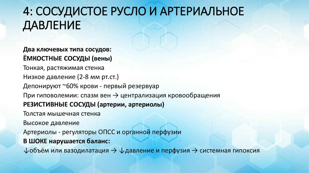 4: СОСУДИСТОЕ РУСЛО И АРТЕРИАЛЬНОЕ ДАВЛЕНИЕ