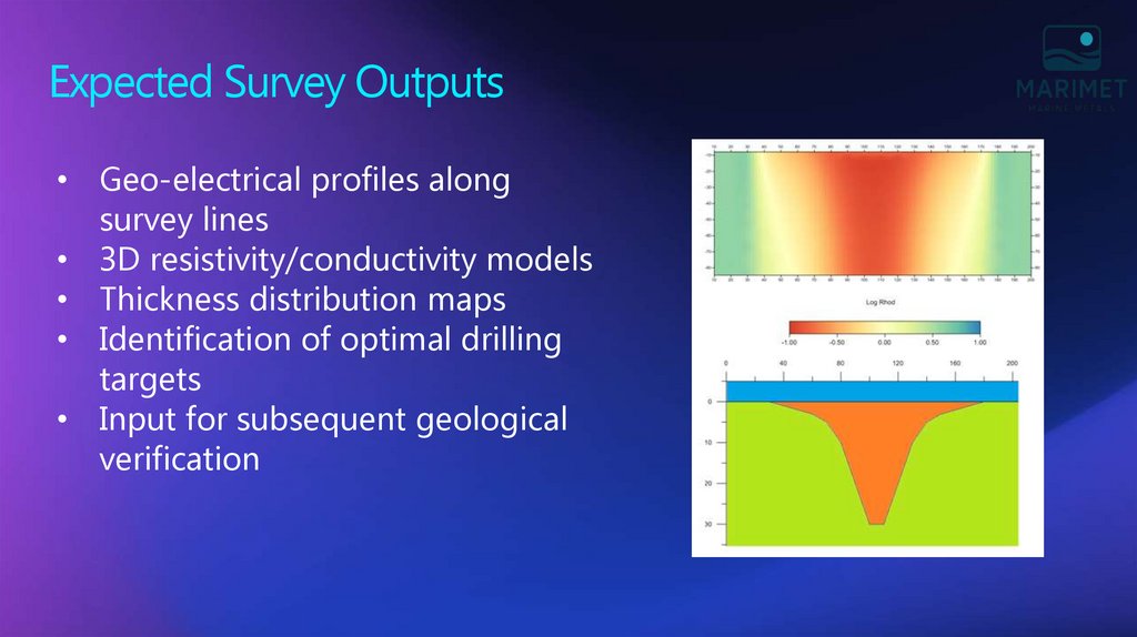 Expected Survey Outputs