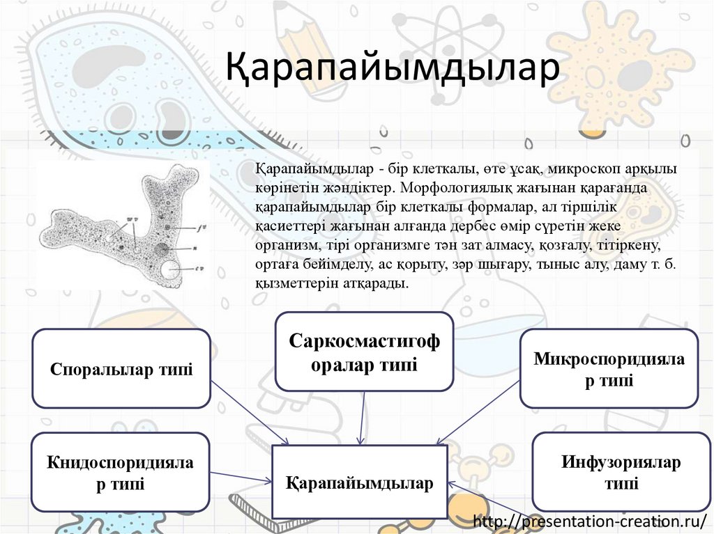 Қарапайымдылар