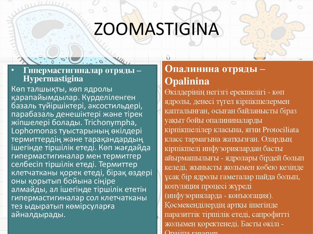 ZOOMASTIGINA