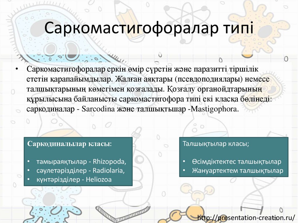 Саркомастигофоралар типі