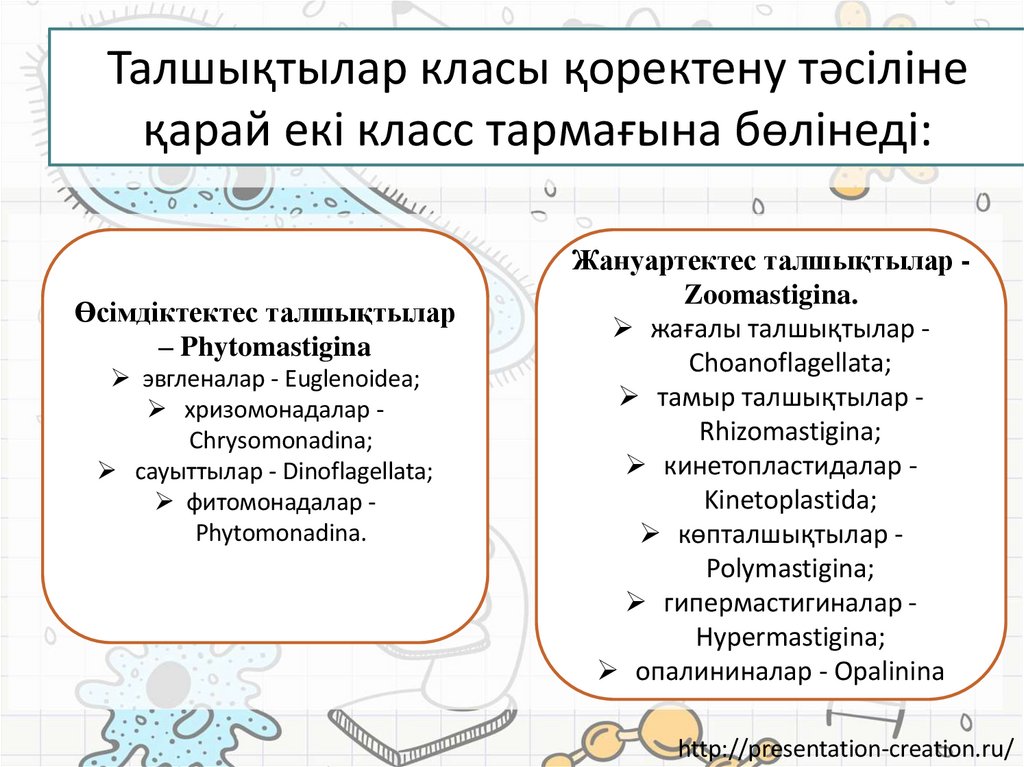 Талшықтылар класы қоректену тәсіліне қарай екі класс тармағына бөлінеді:
