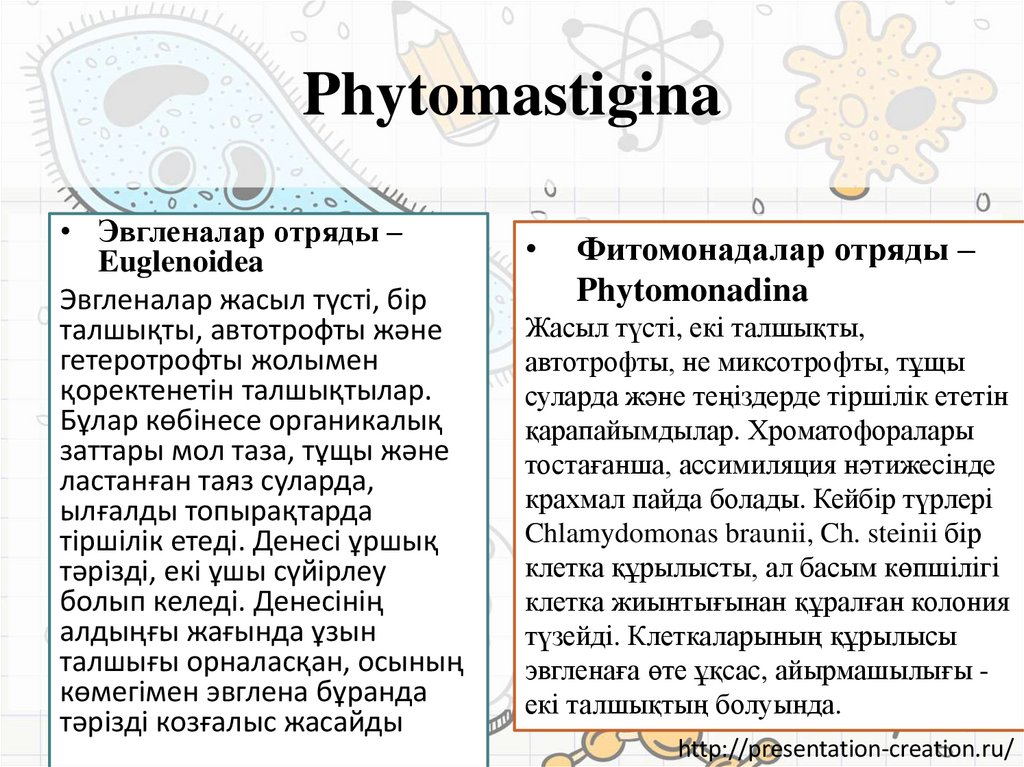 Phytomastigina
