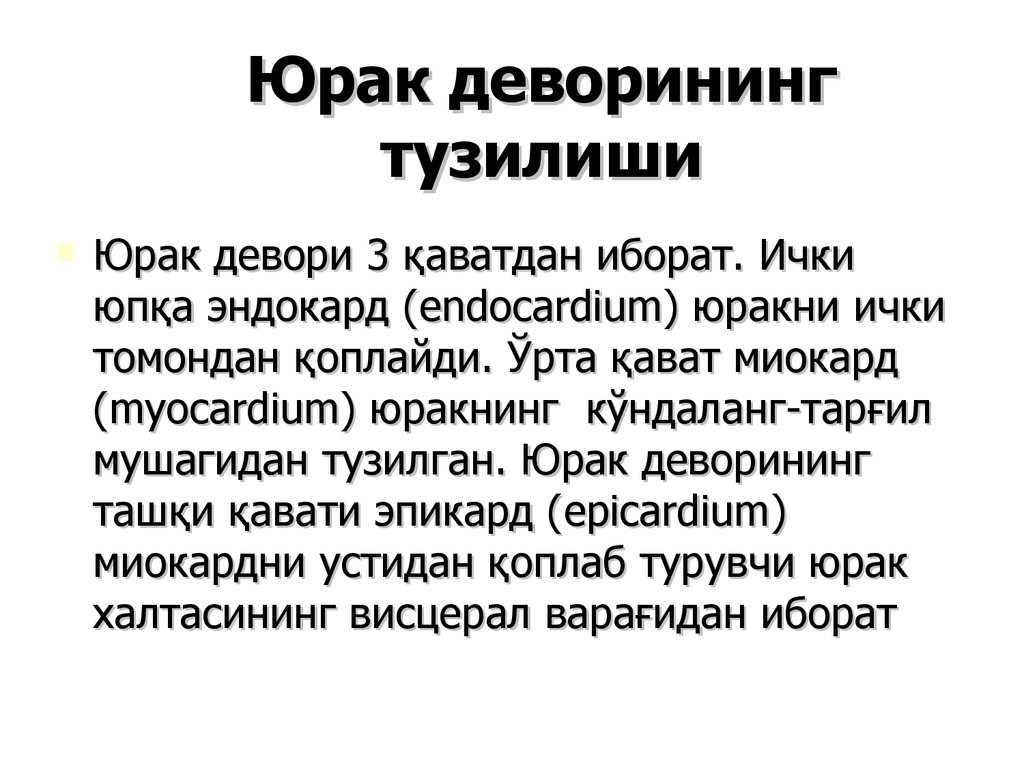 Юрак деворининг тузилиши