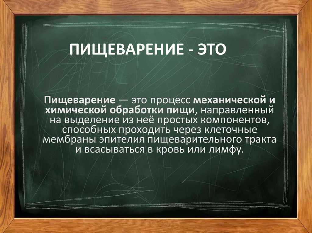 ПИЩЕВАРЕНИЕ - ЭТО