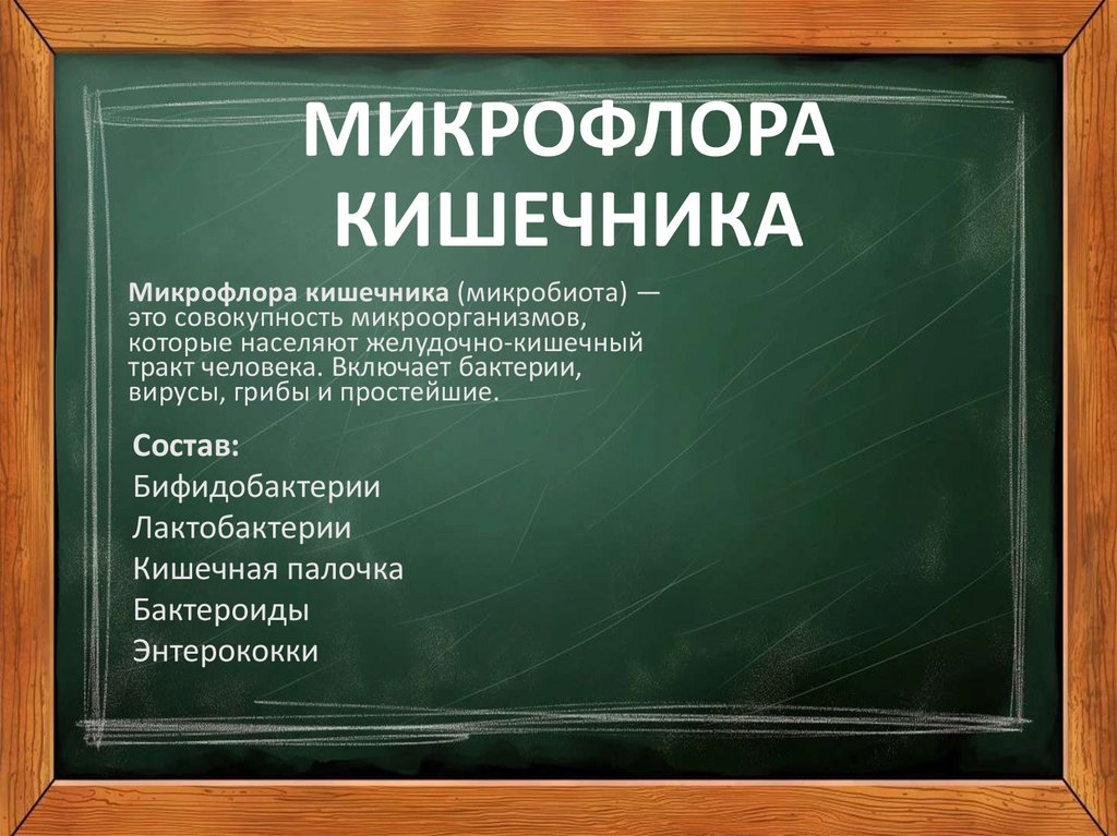 МИКРОФЛОРА КИШЕЧНИКА