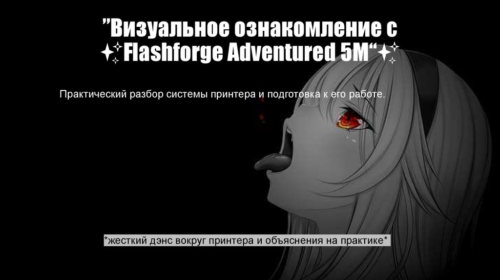 ”Визуальное ознакомление с ✨Flashforge Adventured 5M“✨