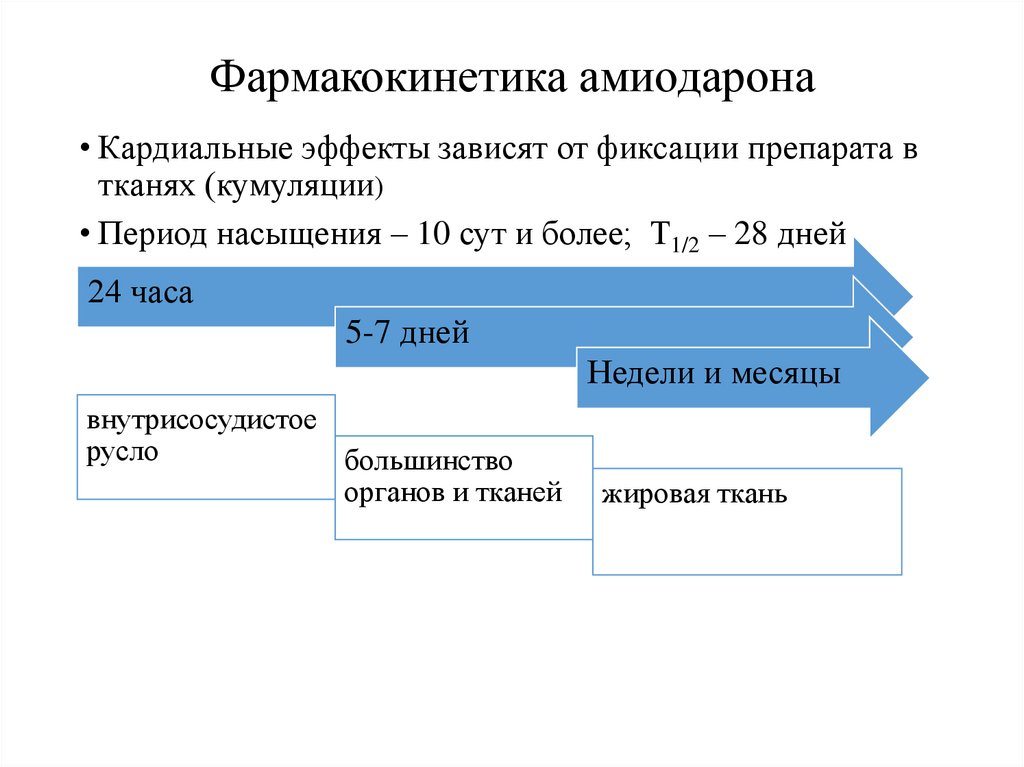 Фармакокинетика амиодарона