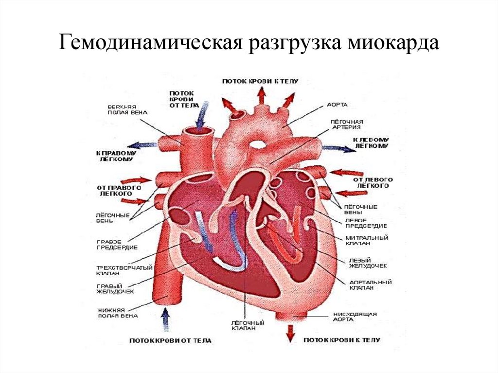 Гемодинамическая разгрузка миокарда