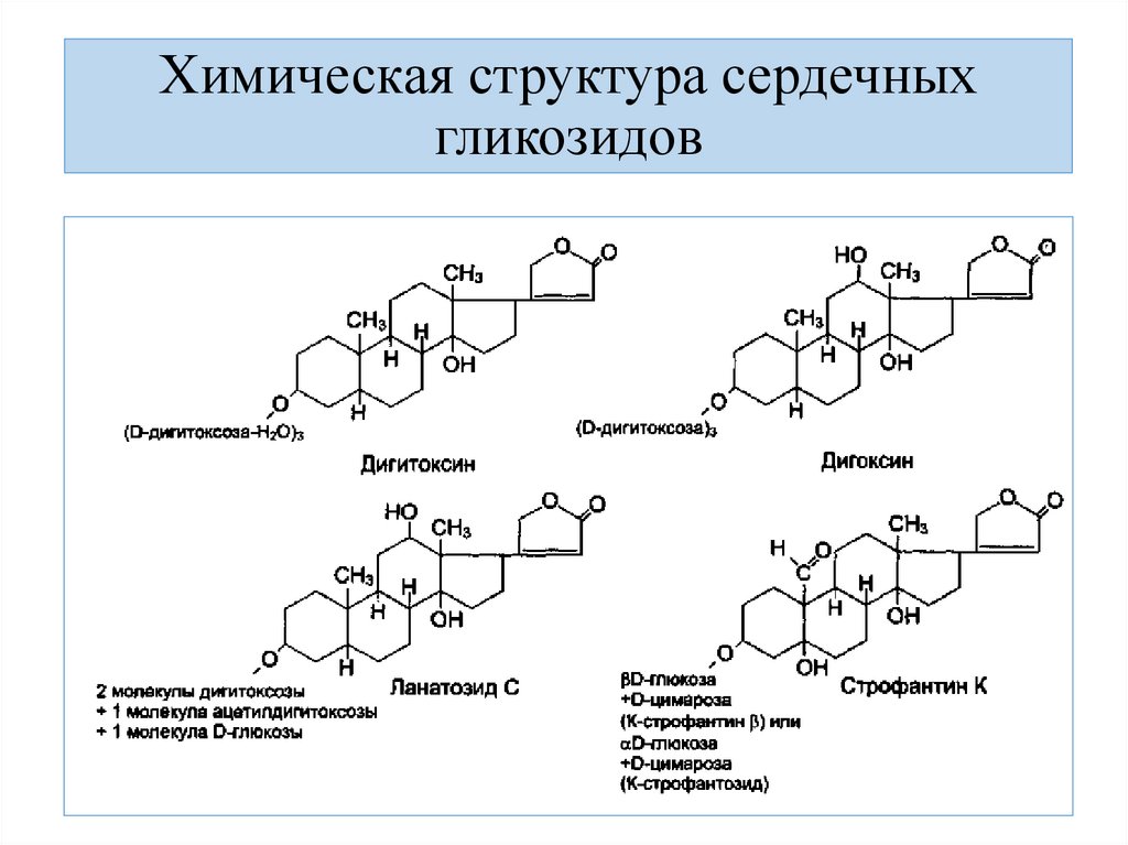 Химическая структура сердечных гликозидов