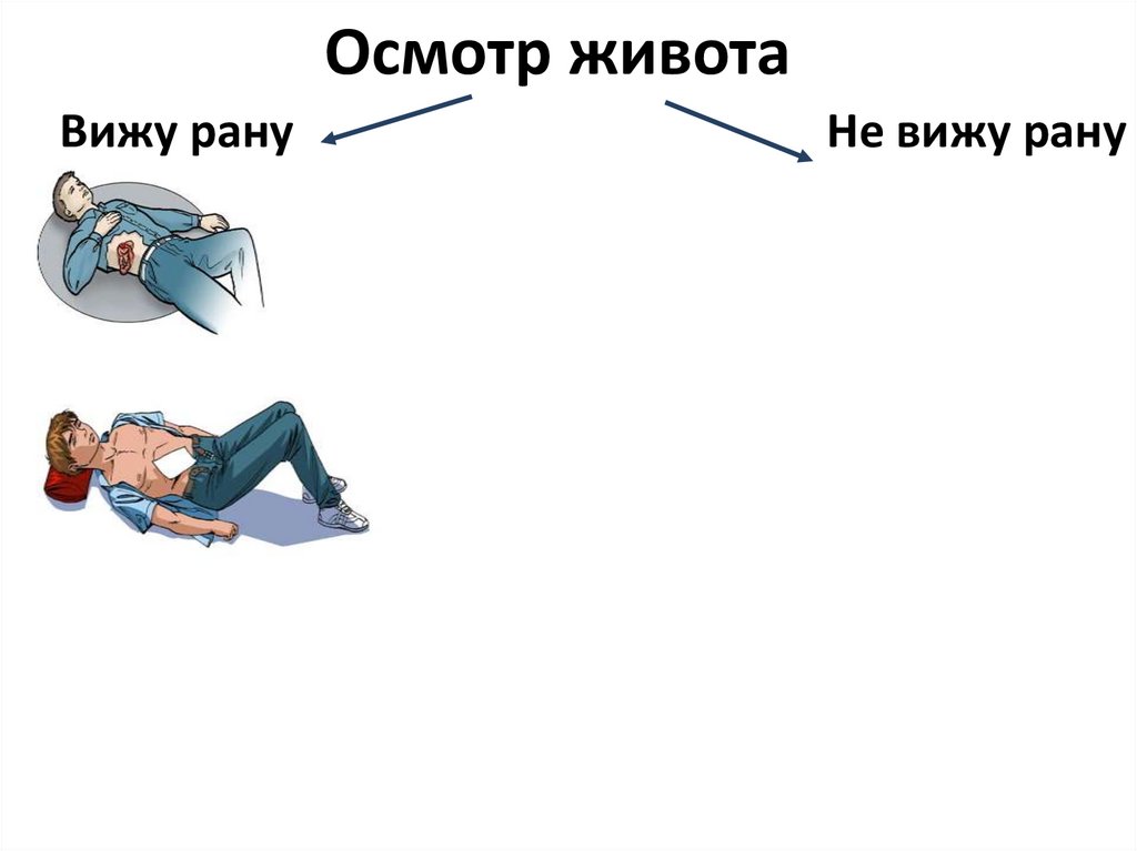 Осмотр живота