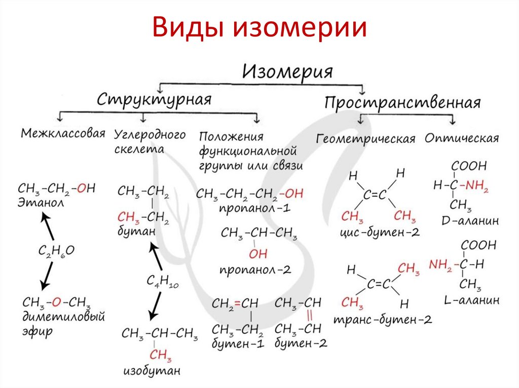 Виды изомерии