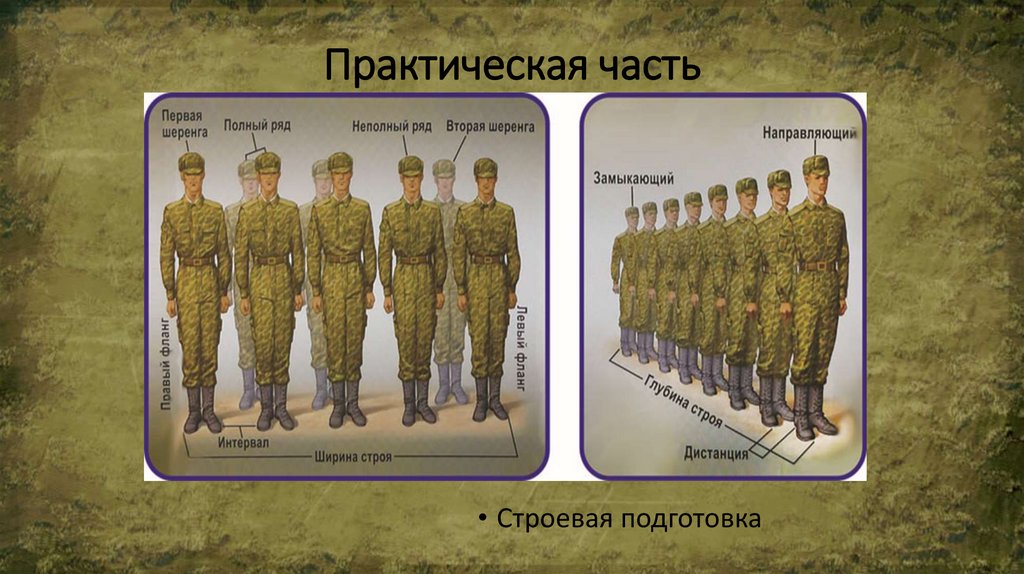 Практическая часть