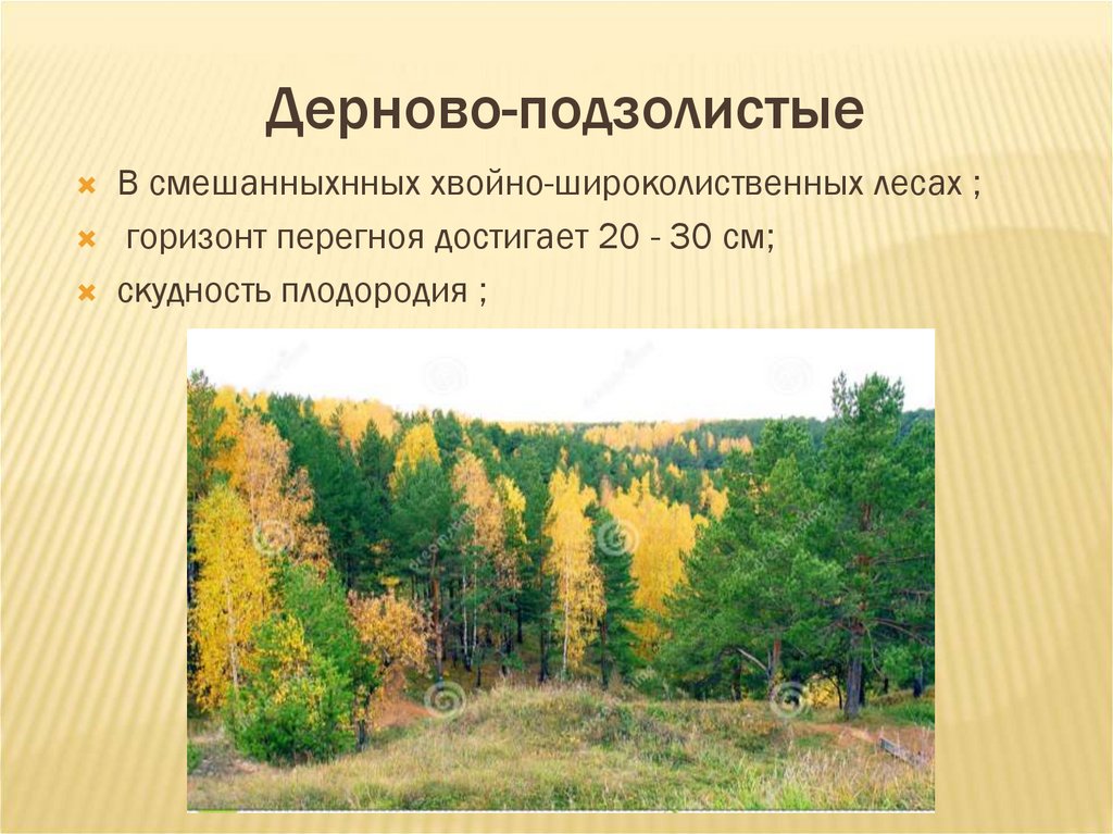 Дерново-подзолистые