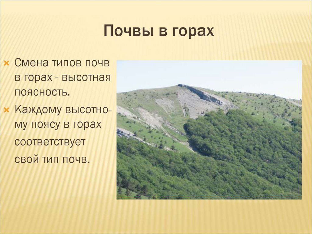 Почвы в горах