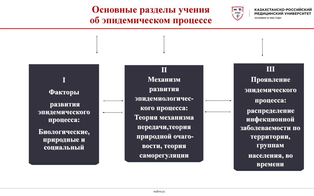 Основные разделы учения об эпидемическом процессе