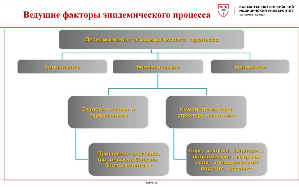Ведущие факторы эпидемического процесса