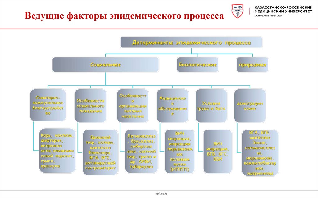 Ведущие факторы эпидемического процесса