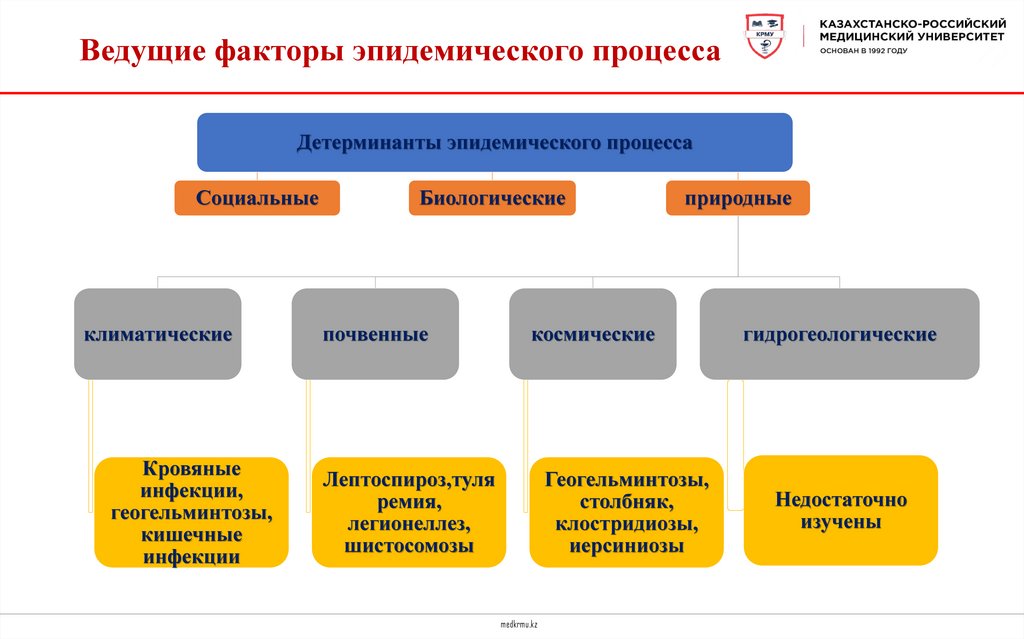 Ведущие факторы эпидемического процесса