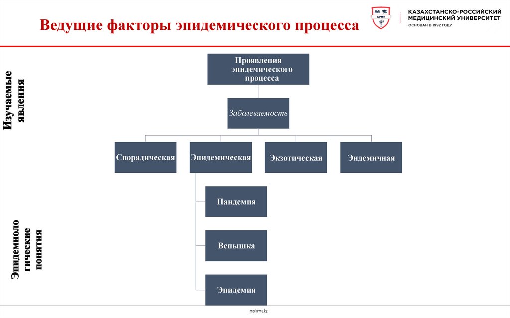 Ведущие факторы эпидемического процесса