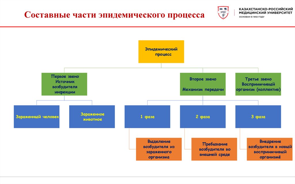 Составные части эпидемического процесса