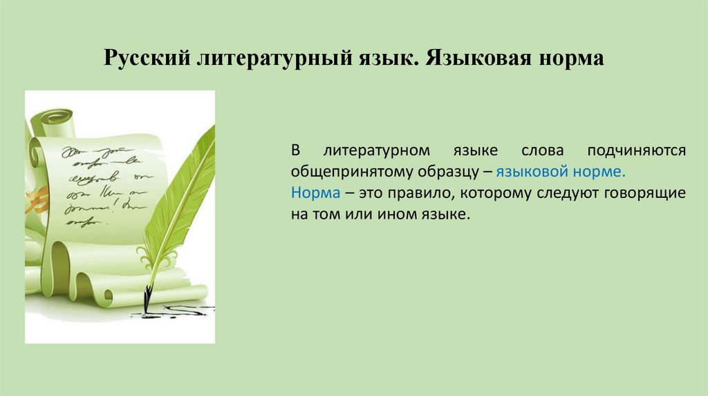 Русский литературный язык. Языковая норма