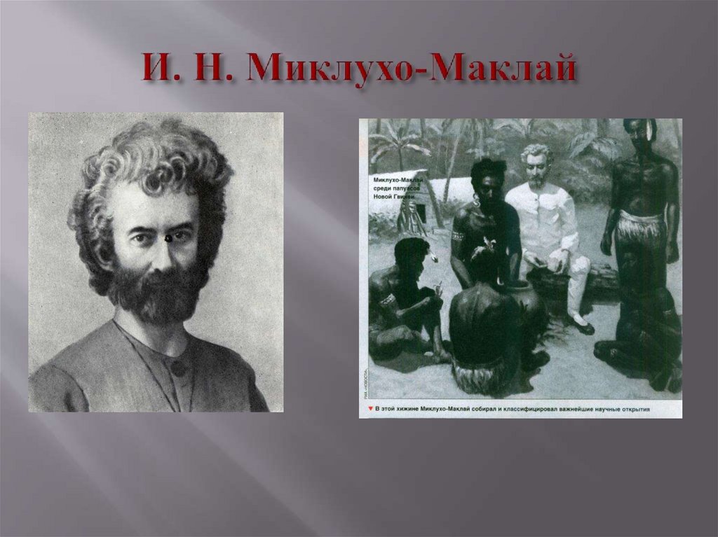 И. Н. Миклухо-Маклай