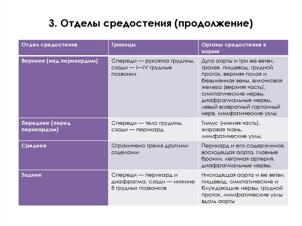 3. Отделы средостения (продолжение)