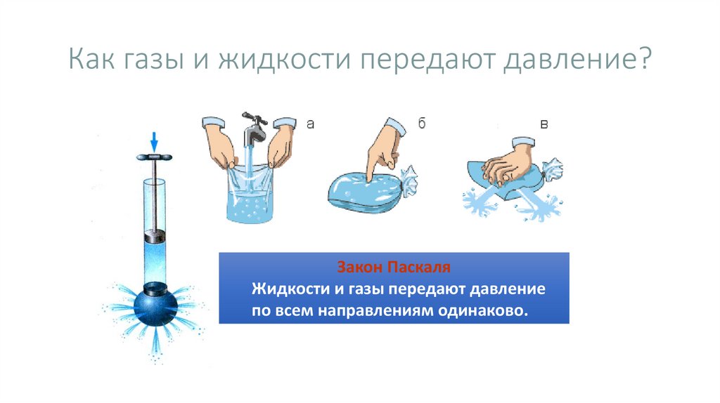 Как газы и жидкости передают давление?